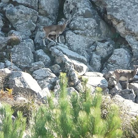 Manderley-Case Sul Mare Санта-Катерина Екстер'єр фото